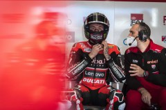 AP23274