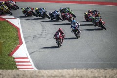 SPR_BULEGA_04