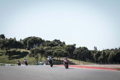 SPR_BULEGA_24