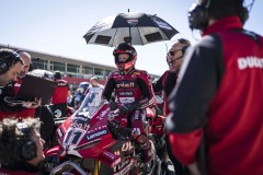 SPR_BULEGA_34