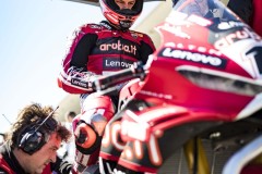 SPR_BULEGA_35