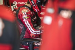 SP_BULEGA_015