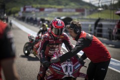 SP_BULEGA_018