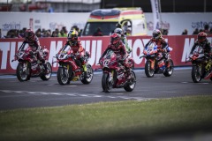 SPRACE_BULEGA_036
