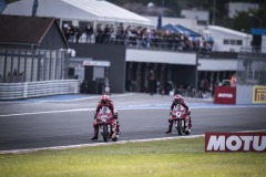 SPRACE_BULEGA_039