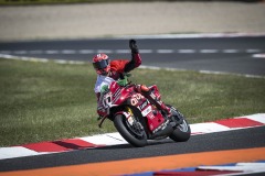 SPRACE_BULEGA_046