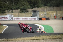 SP_RACE_BULEGA_19